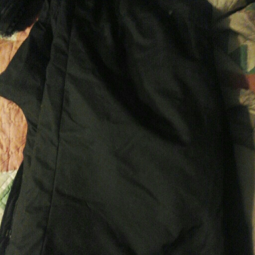 The north face ski pants